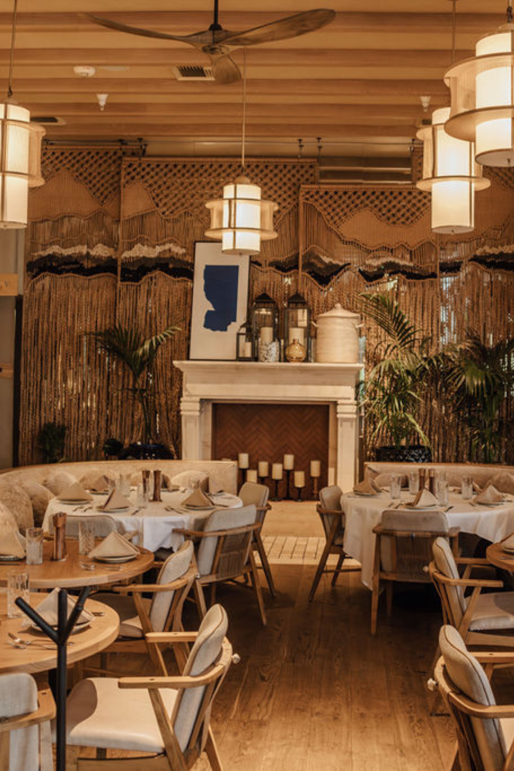 Diseño sin título - 2026-01-21T175416.442