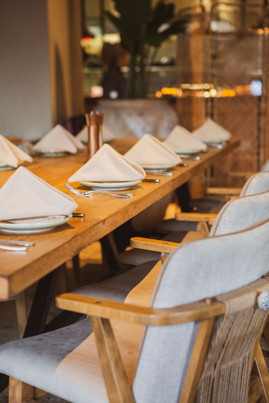 IMF_GH_ALMA_DIC_73 (1)